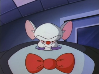 Illustration for article titled Every Single Pinky and the Brain Plan to Take Over the World, Ranked